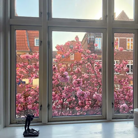 Townhouse With Japanese Cherry Tree In Osterbro Apartament