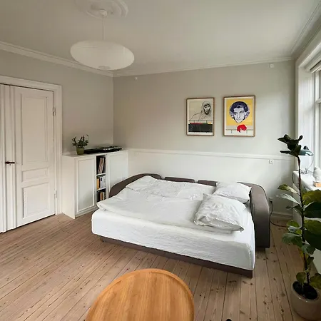 Townhouse With Japanese Cherry Tree In Osterbro Apartament